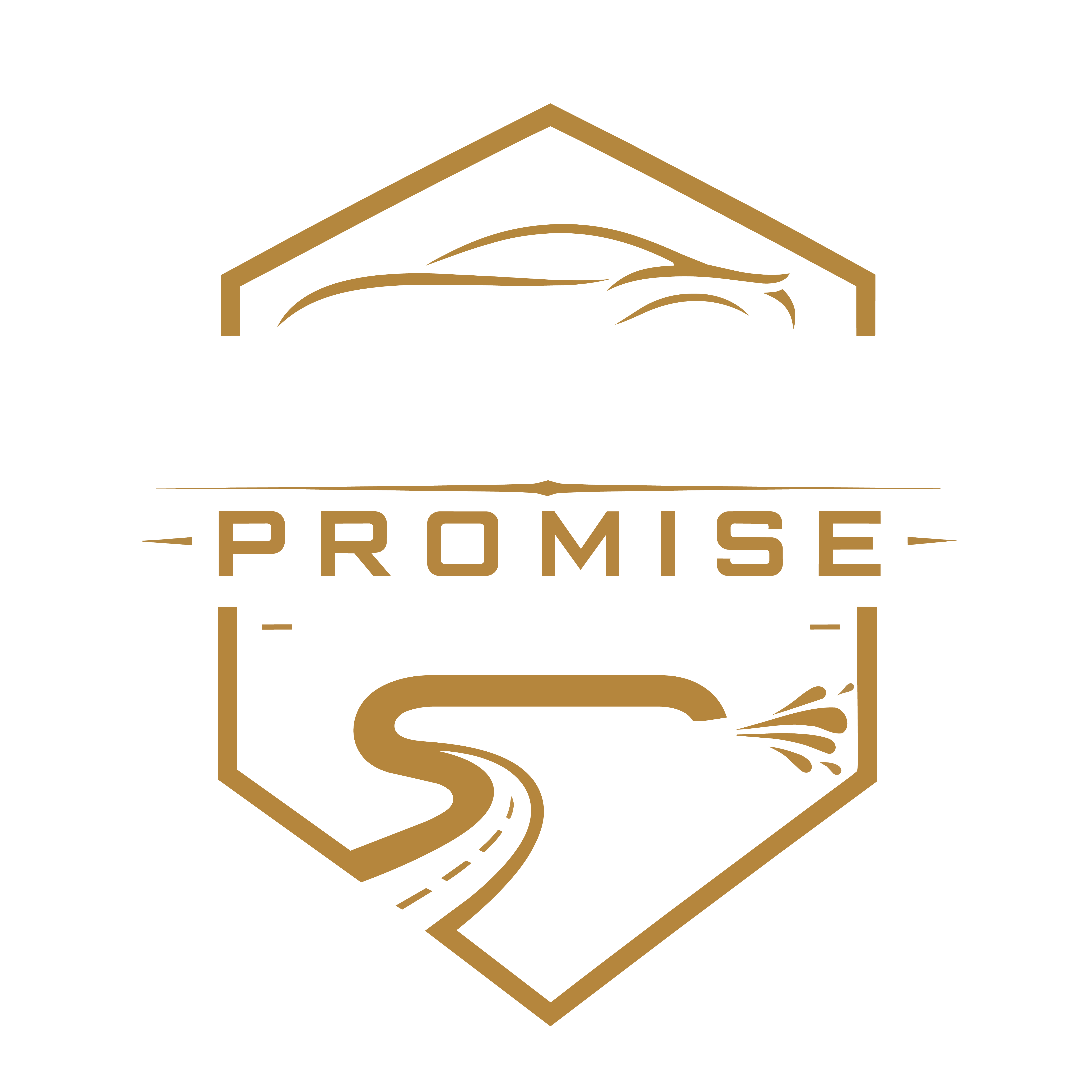Steady Promise Detailing